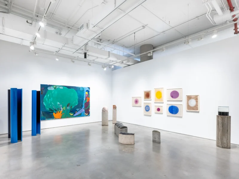 Installation shot from Amelia Toledo and Cristina Canale: On the Nature of Figures, @ Nara Roesler