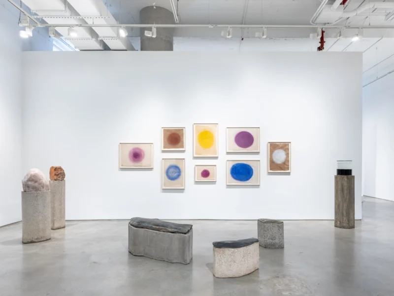 Installation shot from Amelia Toledo and Cristina Canale: On the Nature of Figures, @ Nara Roesler