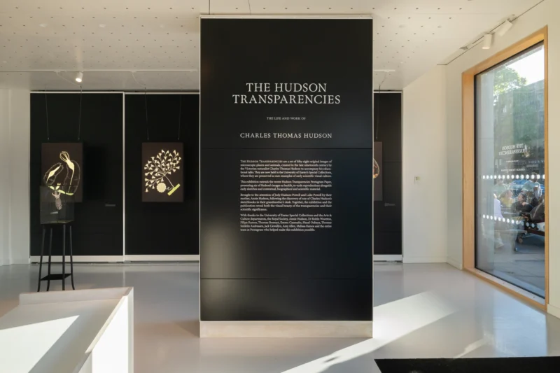 Installation shot from The Hudson Transparencies, @ Osh Gallery