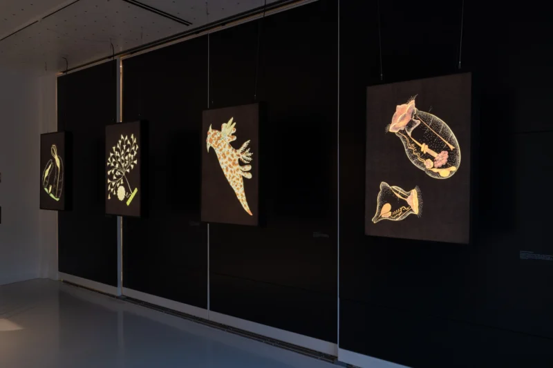 Installation shot from The Hudson Transparencies, @ Osh Gallery