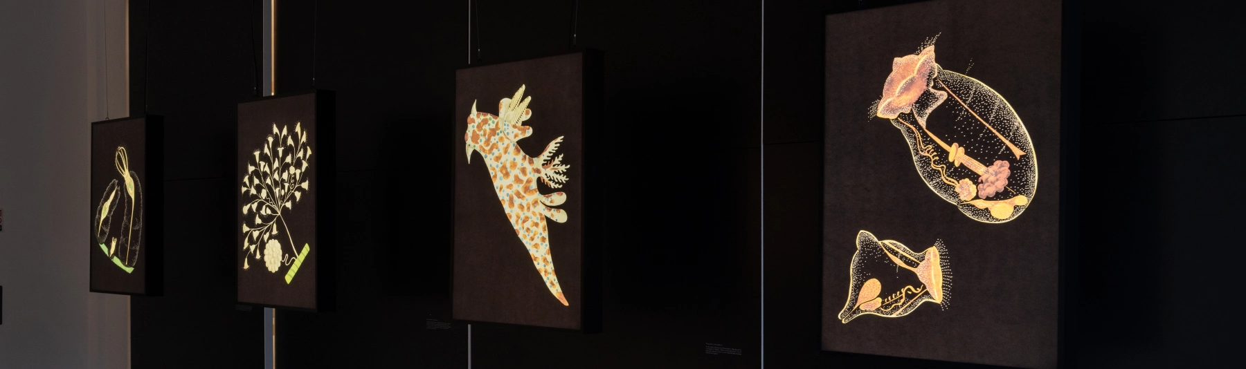 Image for The Hudson Transparencies at Osh Gallery