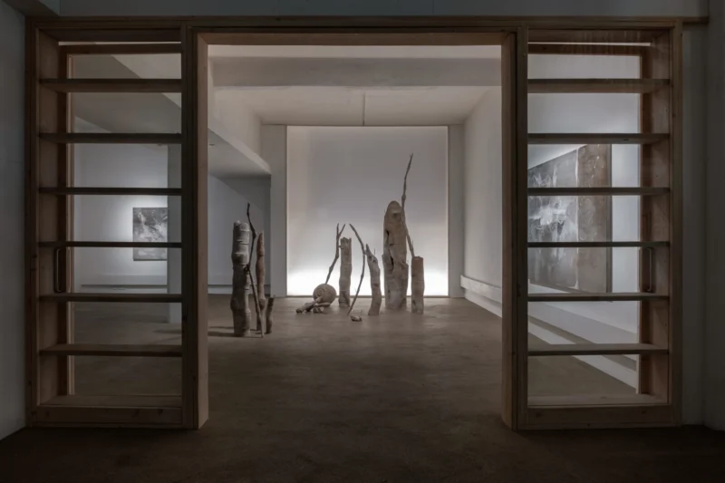 Installation shot from Carolina Aguirre: It murmurs, @ Palmer Gallery