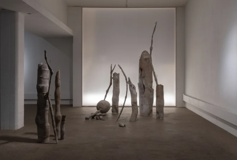 Installation shot from Carolina Aguirre: It murmurs, @ Palmer Gallery
