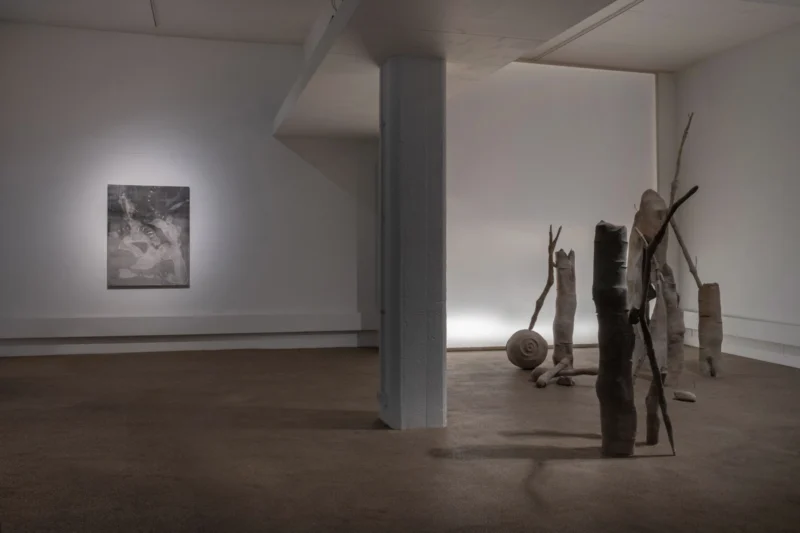Installation shot from Carolina Aguirre: It murmurs, @ Palmer Gallery