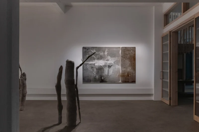 Installation shot from Carolina Aguirre: It murmurs, @ Palmer Gallery