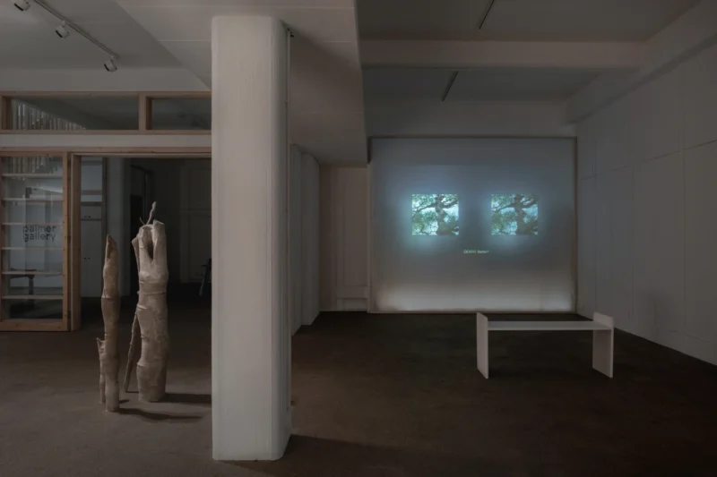 Installation shot from Carolina Aguirre: It murmurs, @ Palmer Gallery