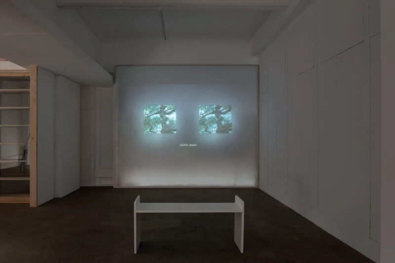 Installation shot from Carolina Aguirre: It murmurs, @ Palmer Gallery
