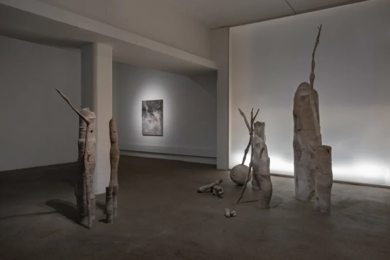 Installation shot from Carolina Aguirre: It murmurs, @ Palmer Gallery