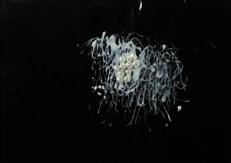 Carol Rama, Untitled, 1968