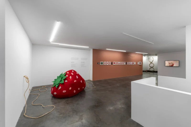 Installation shot from Eda Sütunç: Warm Rehearsal, @ SANATORIUM