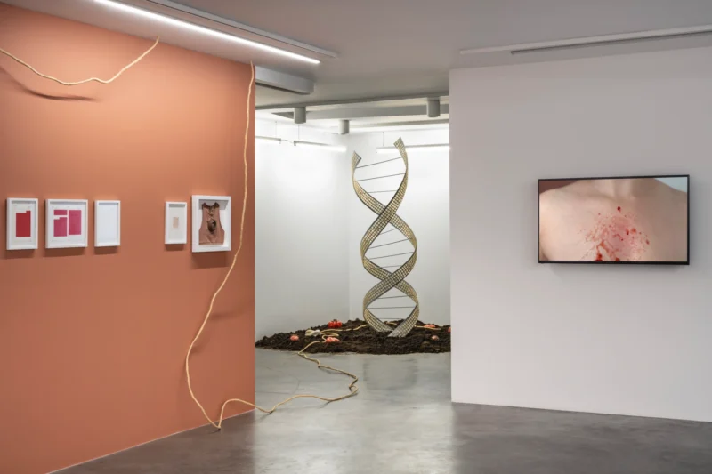 Installation shot from Eda Sütunç: Warm Rehearsal, @ SANATORIUM