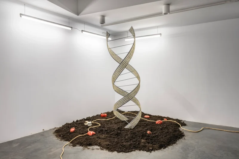 Installation shot from Eda Sütunç: Warm Rehearsal, @ SANATORIUM