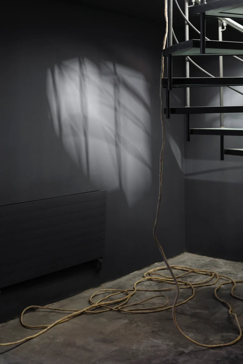 Installation shot from Eda Sütunç: Warm Rehearsal, @ SANATORIUM
