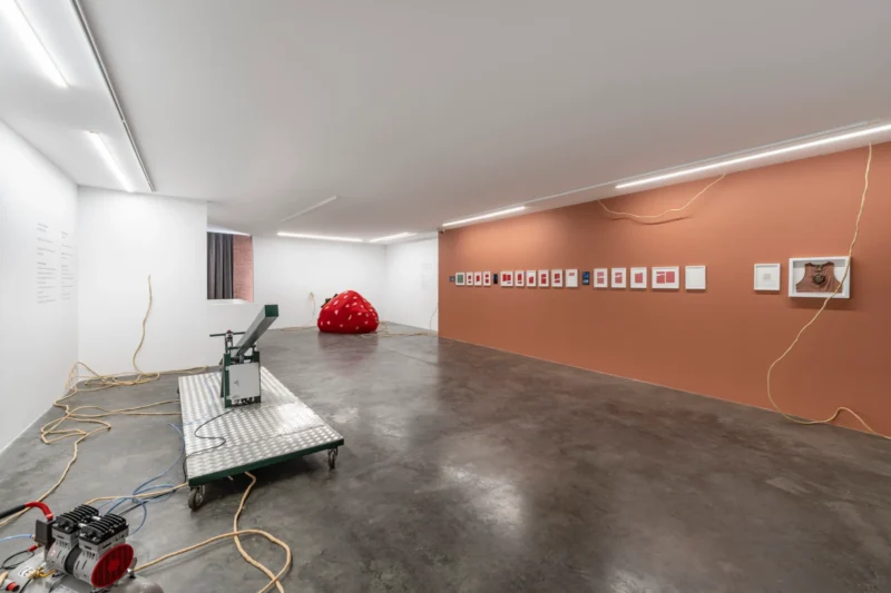 Installation shot from Eda Sütunç: Warm Rehearsal, @ SANATORIUM