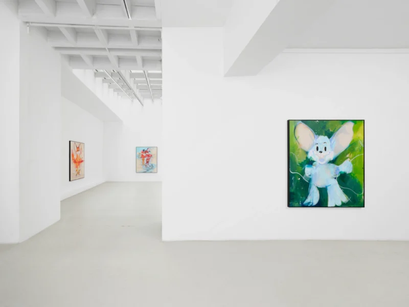 Installation shot from Szabolcs Bozó: Antidote, @ Semiose