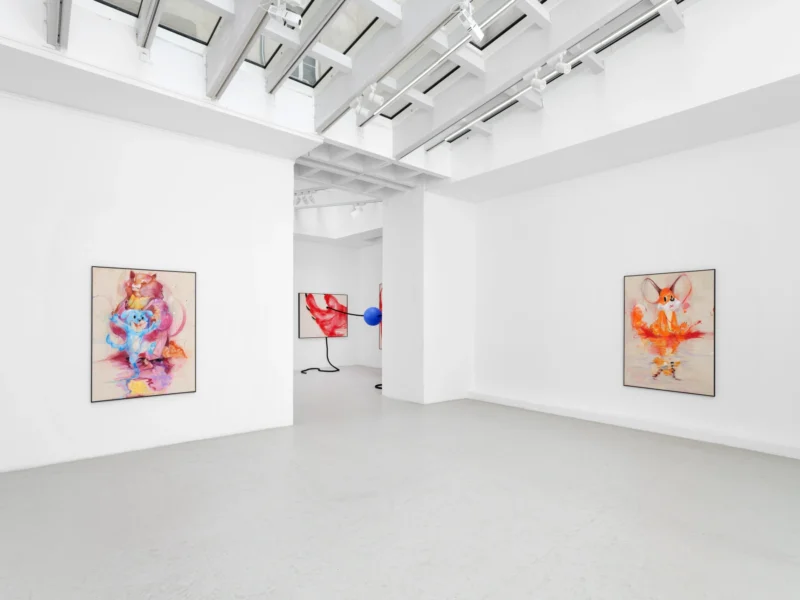 Installation shot from Szabolcs Bozó: Antidote, @ Semiose