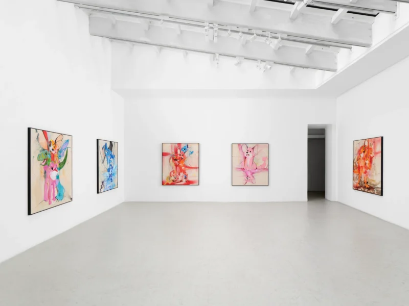 Installation shot from Szabolcs Bozó: Antidote, @ Semiose
