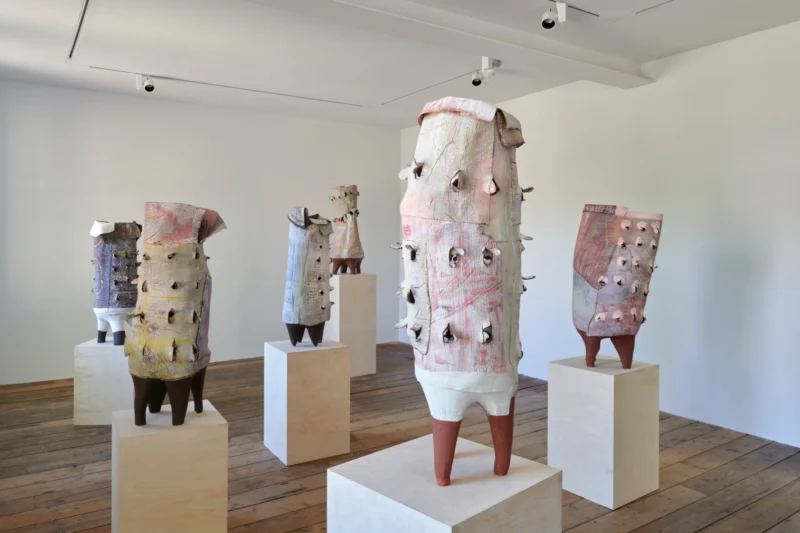 Installation shot from Ranti Bam: Sacred Groves, @ South London Gallery