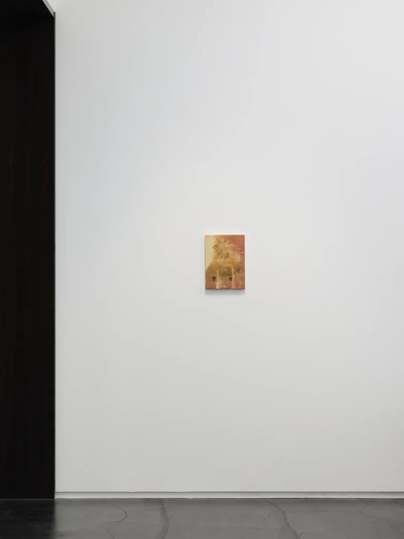 Installation shot from Hiroka Yamashita: 白気 White Veils, @ Taka Ishii Gallery