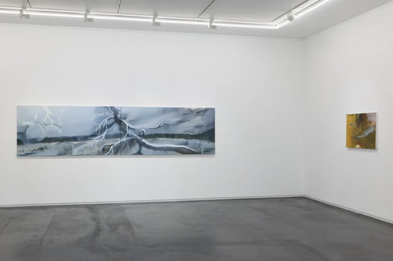 Installation shot from Hiroka Yamashita: 白気 White Veils, @ Taka Ishii Gallery