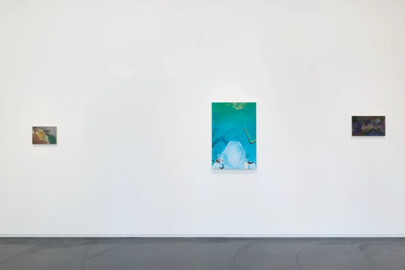 Installation shot from Hiroka Yamashita: 白気 White Veils, @ Taka Ishii Gallery
