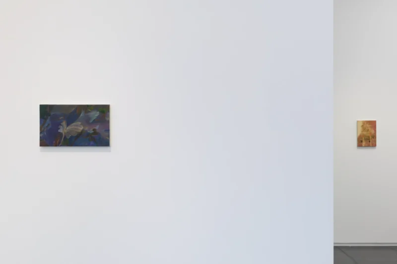 Installation shot from Hiroka Yamashita: 白気 White Veils, @ Taka Ishii Gallery