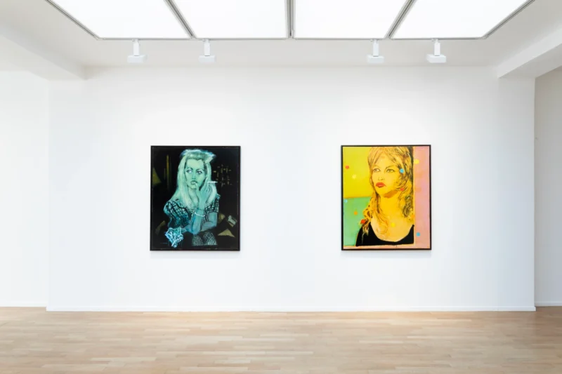 Installation shot from Jan Van Imschoot: Le Chant du Pommier, @ Templon