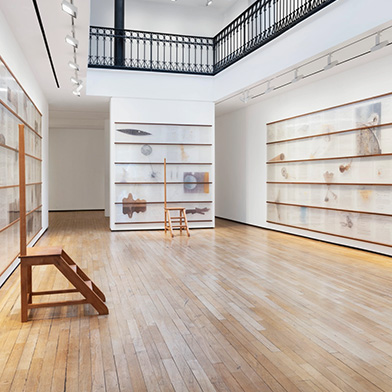 Image from Jitish Kallat: Point of Incidence, at Templon