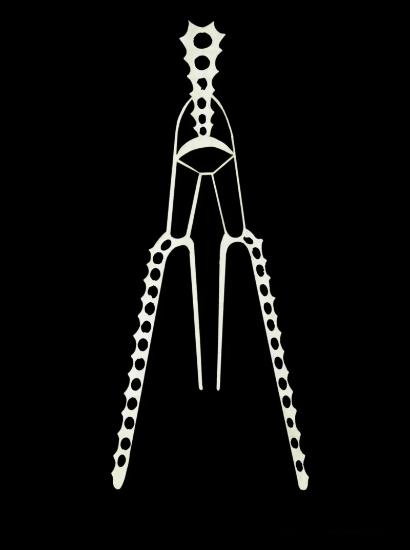 Charles Thomas Hudson, Skeleton of a sea urchin larva