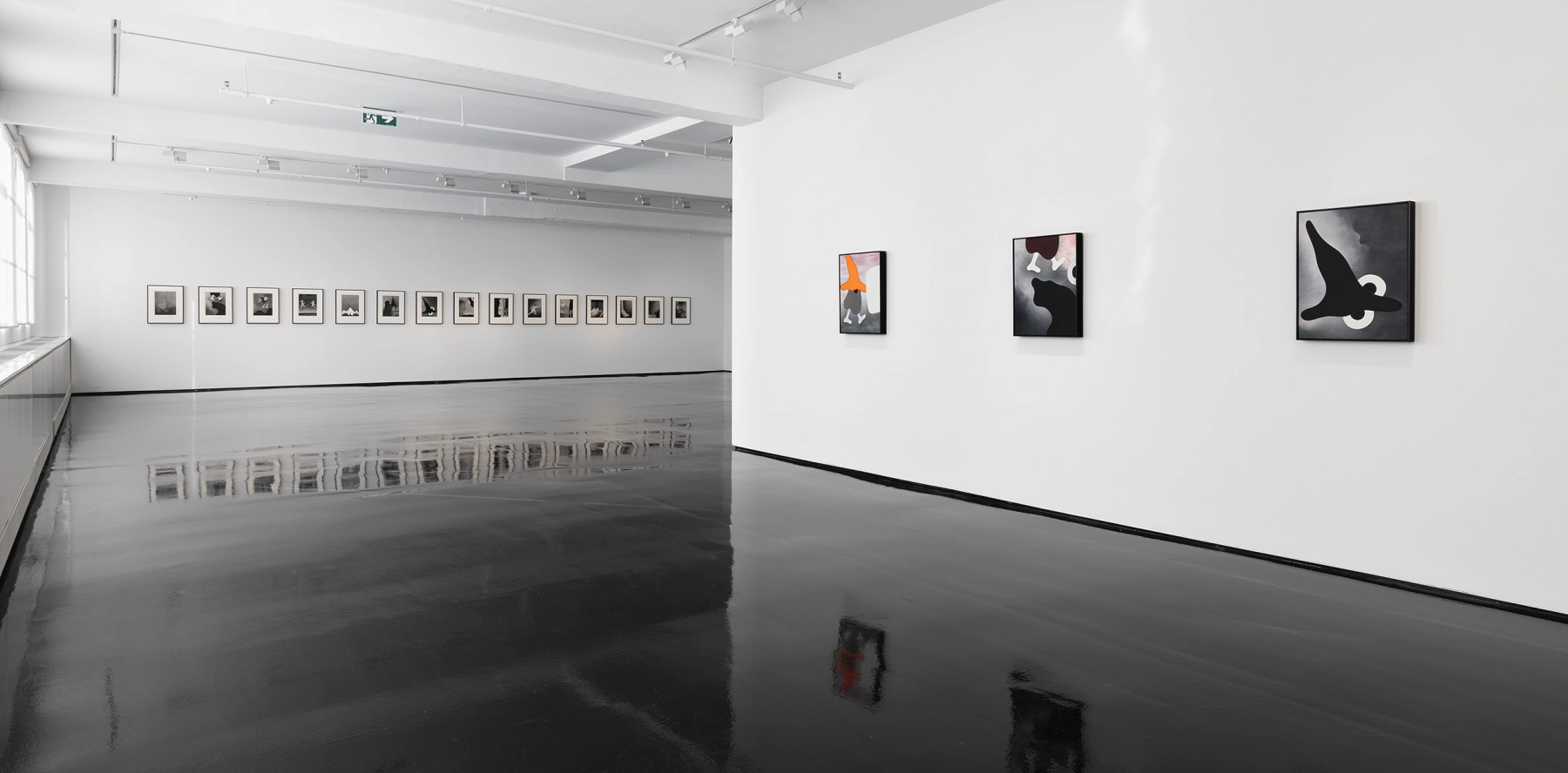 Image for Brent Harris: Writing poems to the moon, at Tolarno Galleries