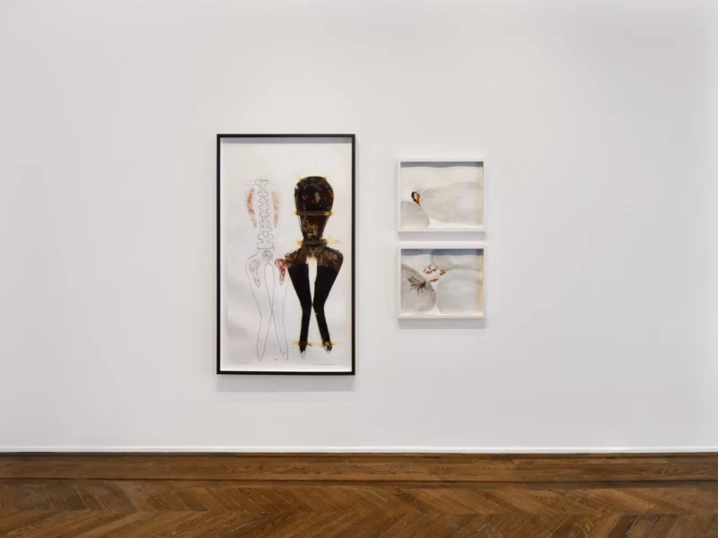Installation shot from Enrico David: Works on Paper: 1995-2026, @ VeneKlasen
