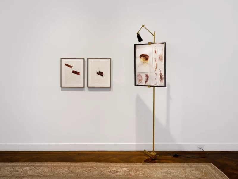 Installation shot from Enrico David: Works on Paper: 1995-2026, @ VeneKlasen