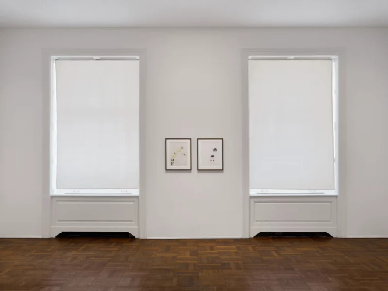 Installation shot from Enrico David: Works on Paper: 1995-2026, @ VeneKlasen