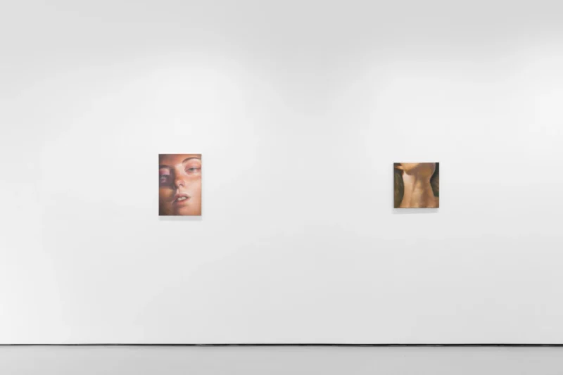 Installation shot from Wang Pei: Sertraline, @ Workplace