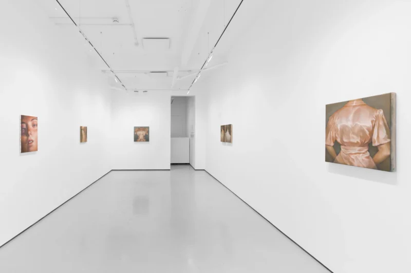 Installation shot from Wang Pei: Sertraline, @ Workplace
