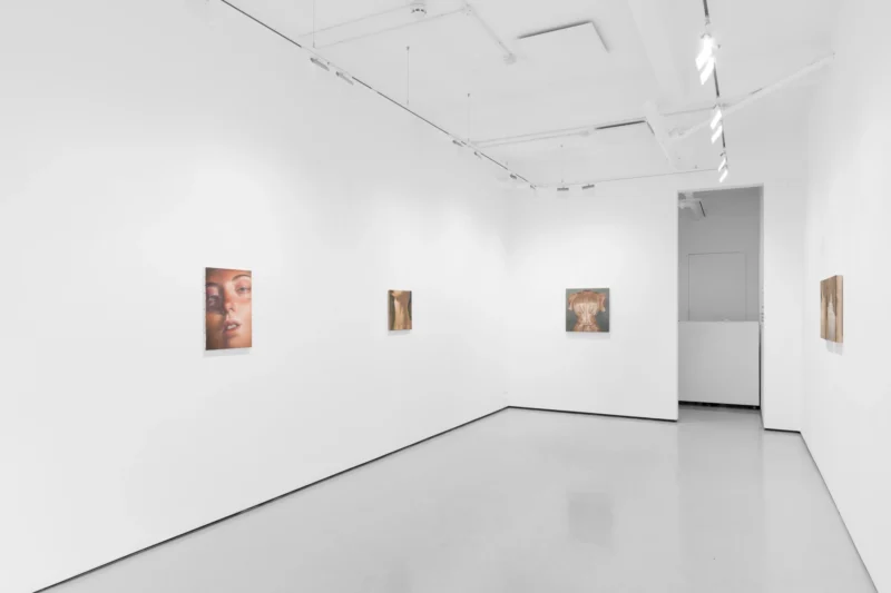 Installation shot from Wang Pei: Sertraline, @ Workplace