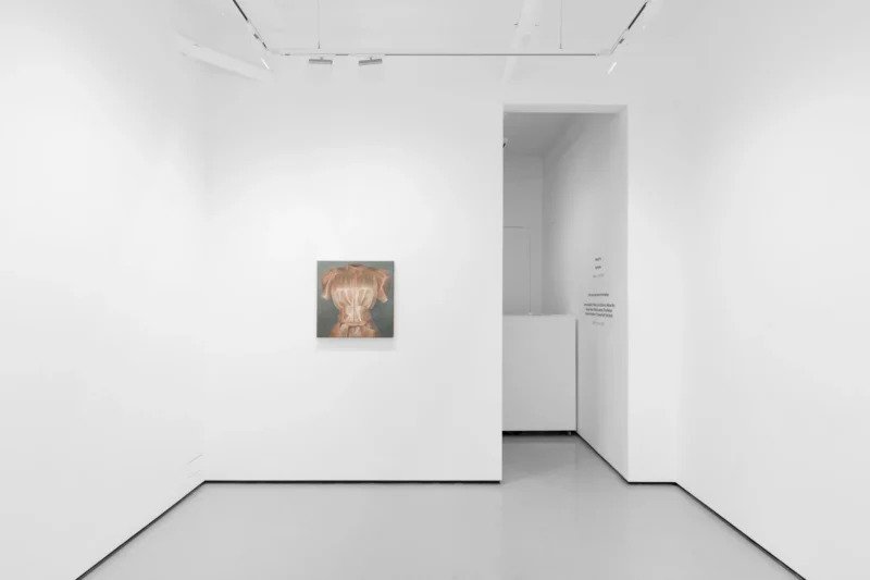 Installation shot from Wang Pei: Sertraline, @ Workplace
