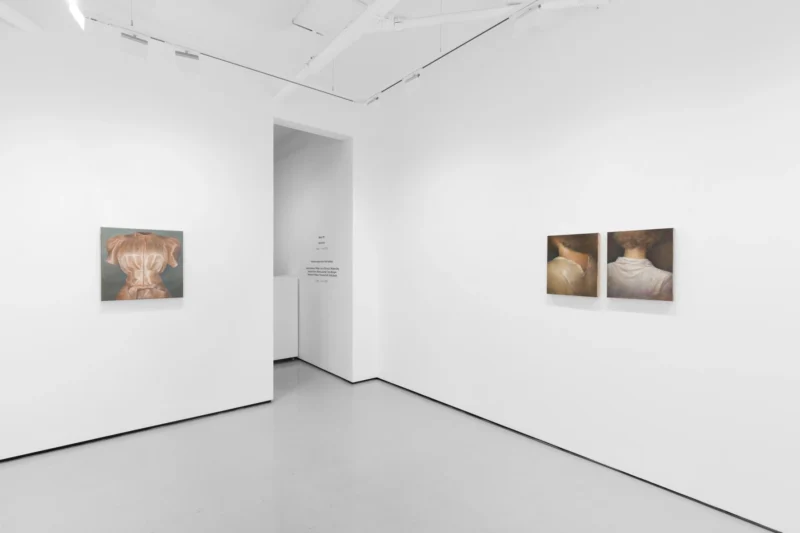 Installation shot from Wang Pei: Sertraline, @ Workplace