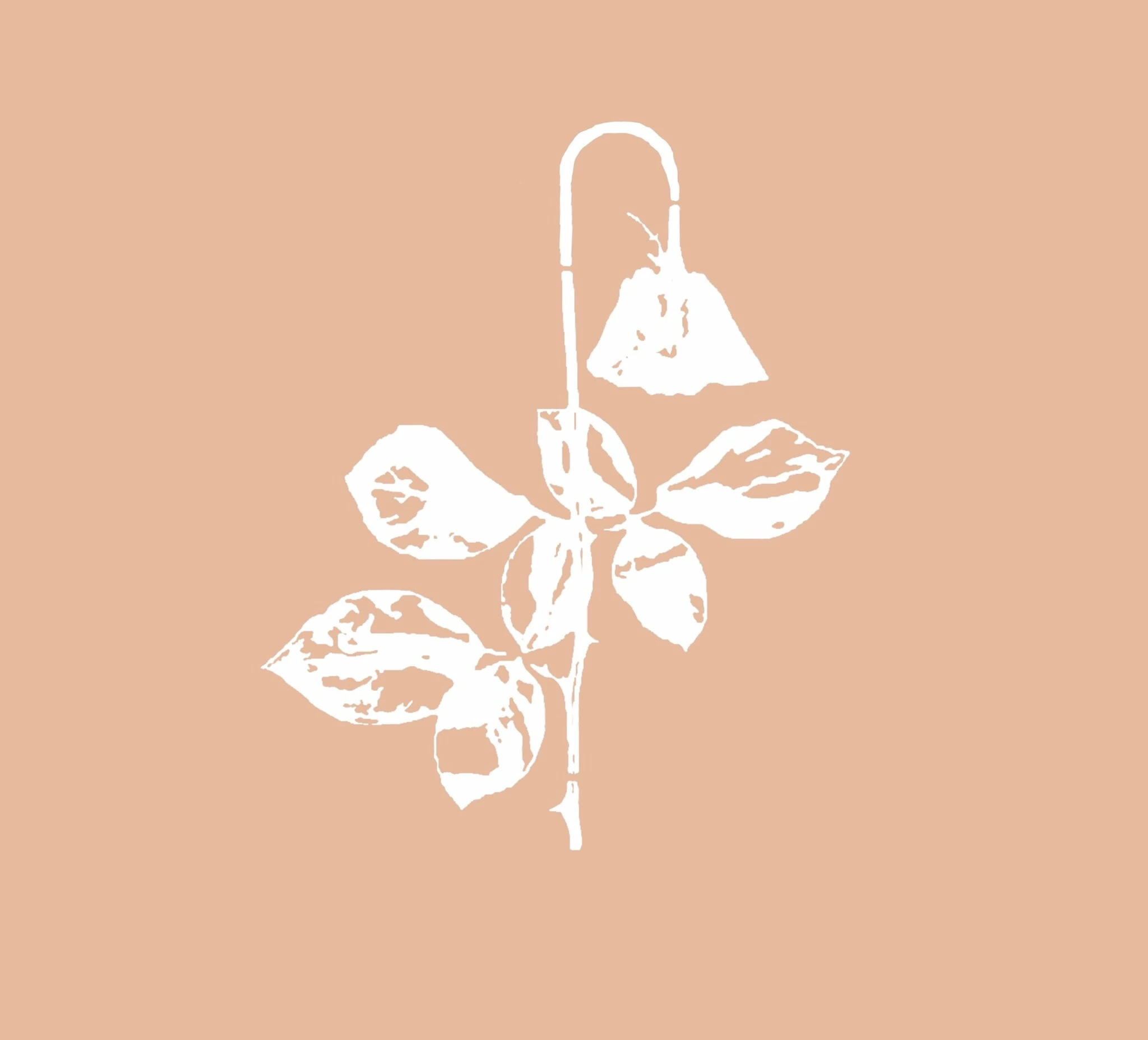 Image for Katie Shannon: Bedding, at TINA