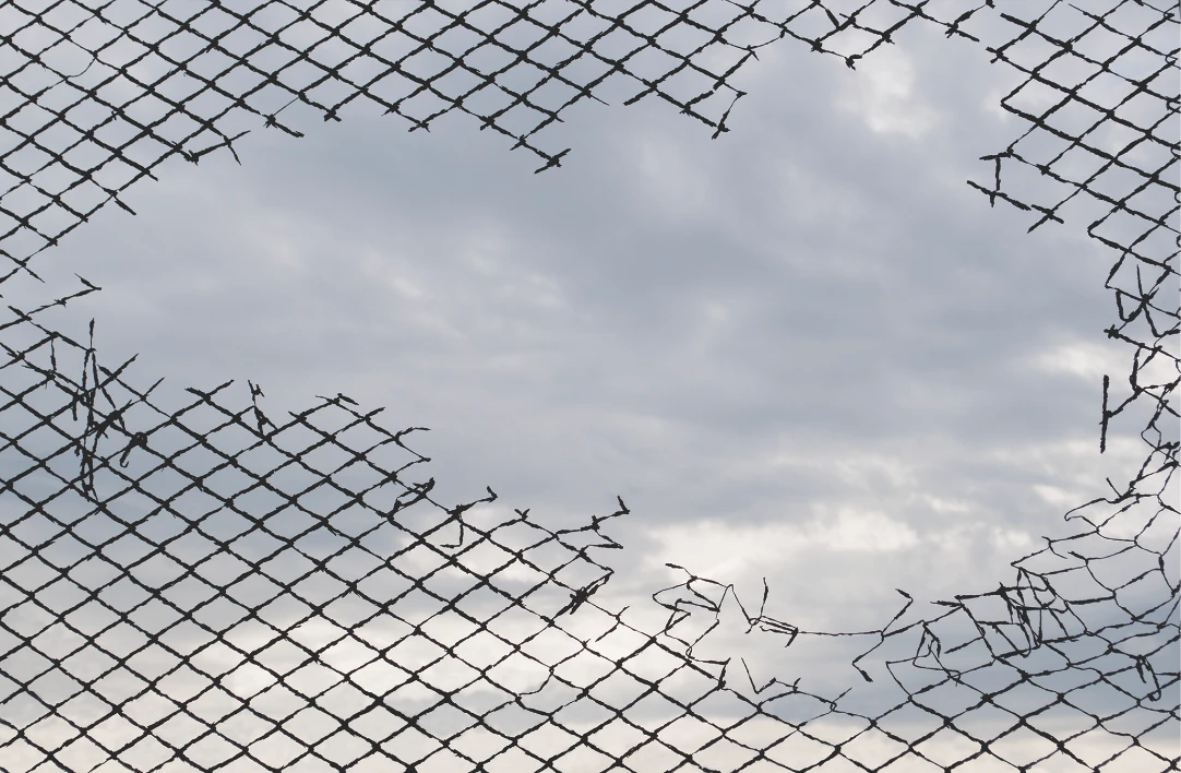 Michel François, Fence, 2016-2026