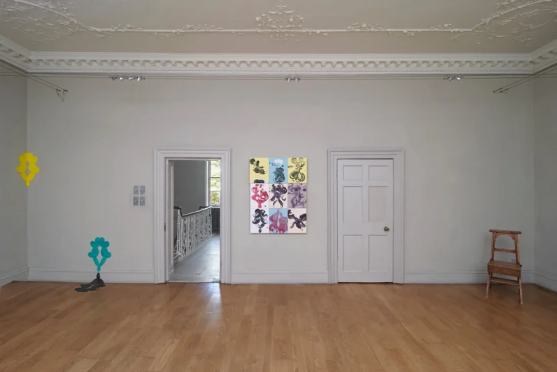 Installation shot from Mikey Cuddihy: Curious Yellow, @ domobaal