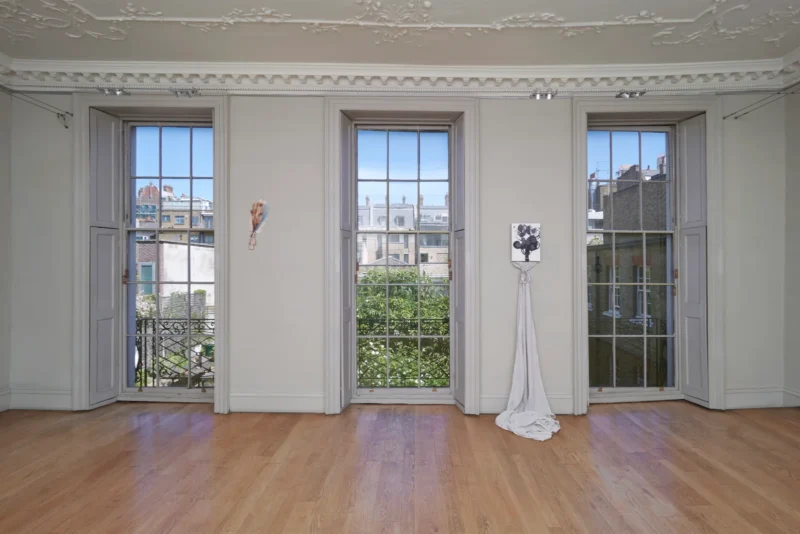 Installation shot from Mikey Cuddihy: Curious Yellow, @ domobaal