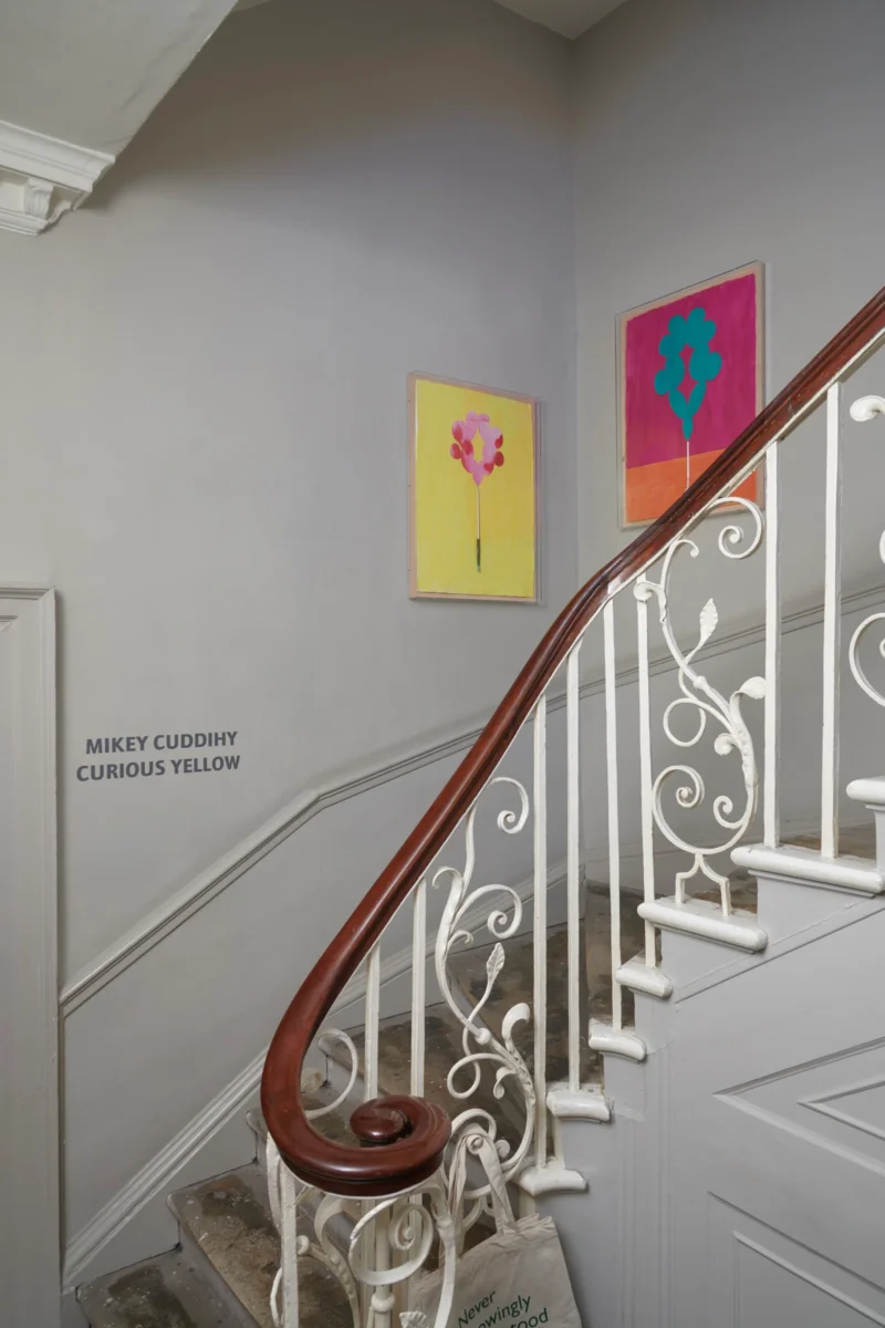 Installation shot from Mikey Cuddihy: Curious Yellow, @ domobaal