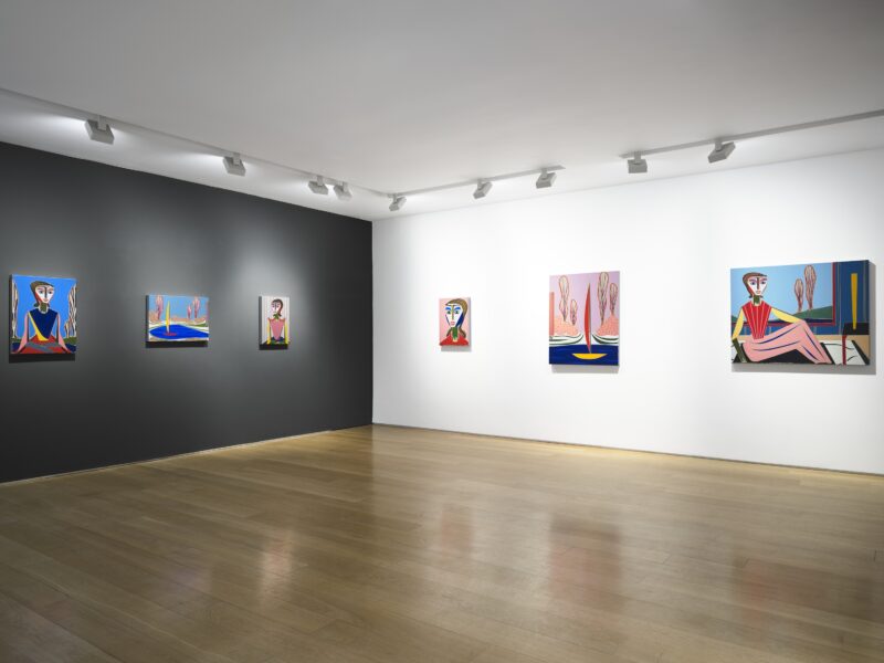 Installation shot from Henrik Godsk: The Lake, @ VIGO
