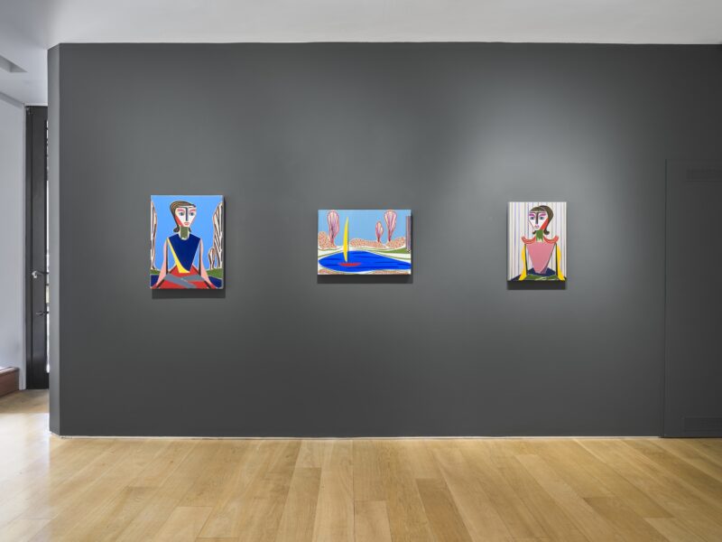 Installation shot from Henrik Godsk: The Lake, @ VIGO