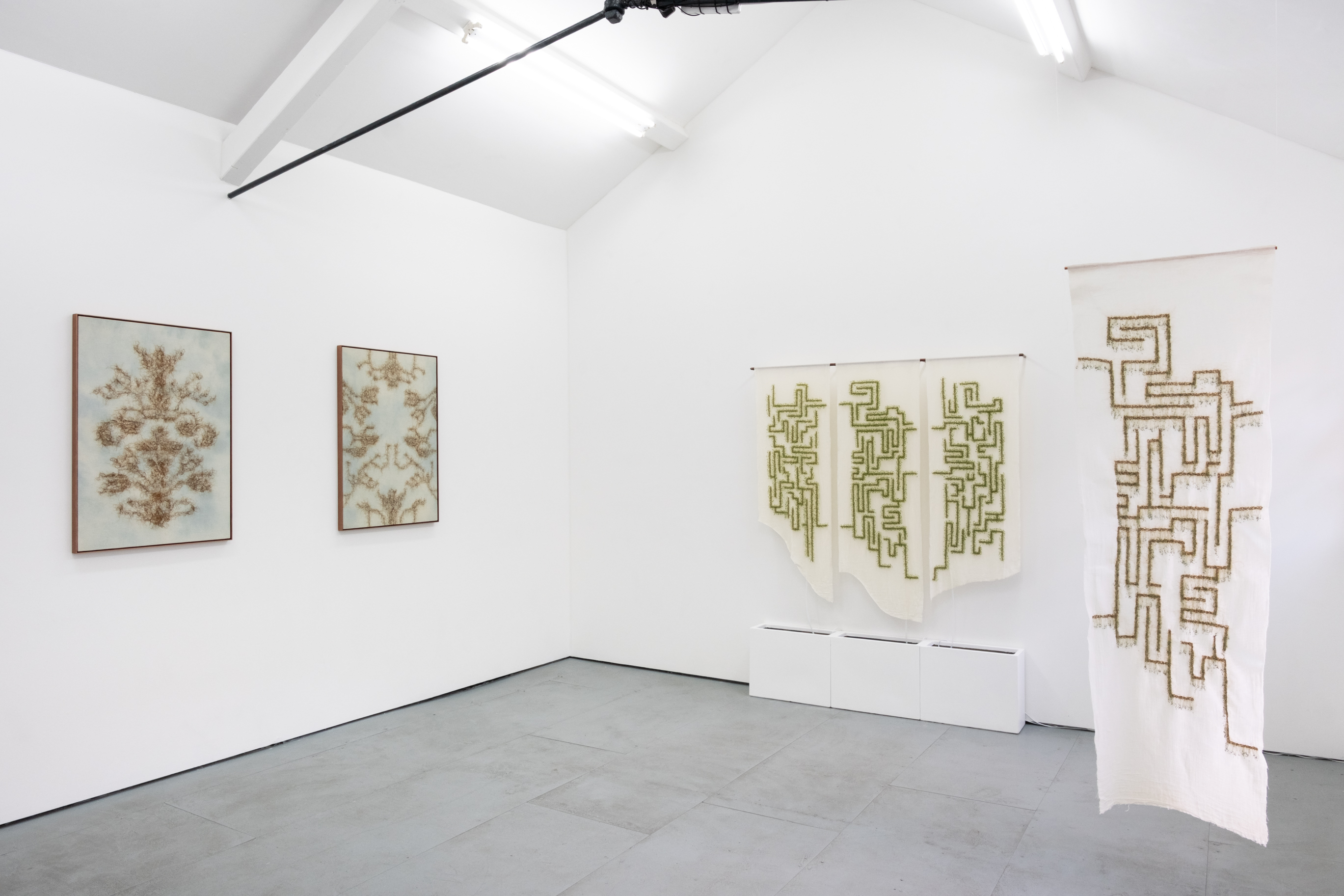 Image for Beverley Duckworth: From Below, at SLQS Gallery