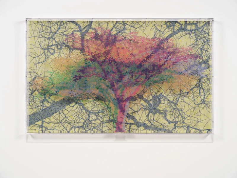 Charles Gaines, Numbers and Trees: Tanzania Series 3, Acacia, Tree #4, Kabwa, 2026