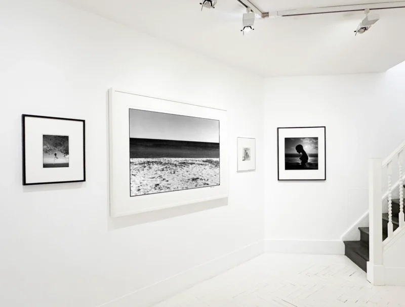 Installation shot from Splash: Sea, Beach and Pool, @ ATLAS Gallery