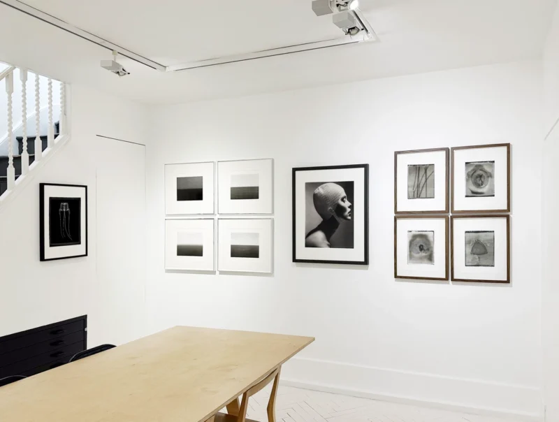 Installation shot from Splash: Sea, Beach and Pool, @ ATLAS Gallery