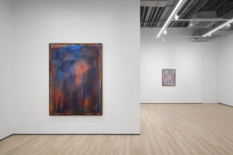 Installation shot from Thu-Van Tran: No Longer Day, Not Yet Night, @ Almine Rech
